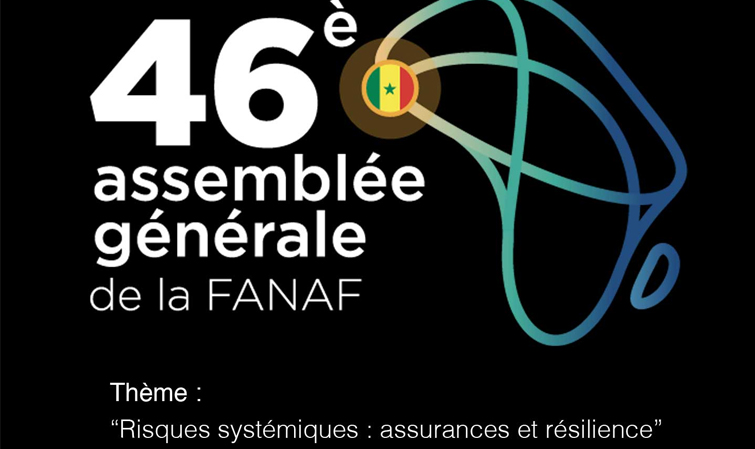 Ouverture De La 46e Assemblée Générale De La Fanaf: Souleymane Niane ...